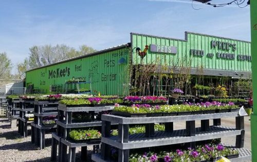 A garden center with colorful flower displays in wooden planters, surrounded by green shipping containers.