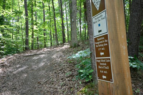 A wooden trail sign in a forest, indicating directions to various destinations and distances on a dirt path.
