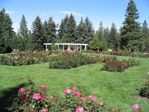 A vibrant garden filled with blooming roses, lush green grass, and tall trees under a clear blue sky.