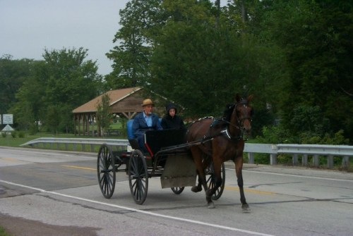 A horse-drawn carriage on a rural road, with two passengers dressed in casual clothing. Trees and a shelter in the background.