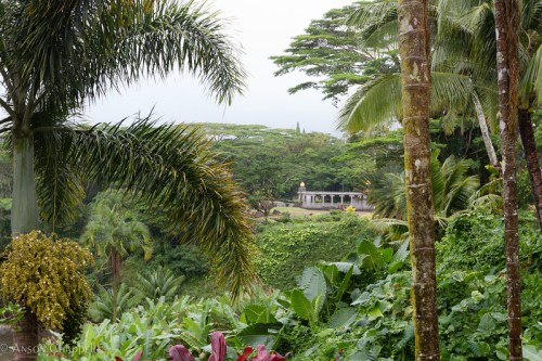Lush tropical landscape with palm trees, vibrant foliage, and a distant structure amidst greenery under a cloudy sky.