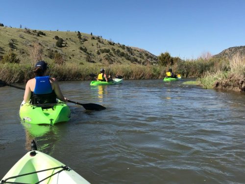Four people kayaking on a calm river surrounded by green hills and clear blue skies.