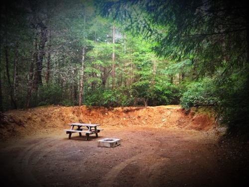 A cleared campsite in a forest, featuring a picnic table and a fire pit surrounded by trees.