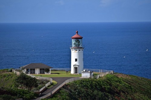 A lighthouse stands on a green hill overlooking the ocean, with a clear blue sky and a few birds in the distance.