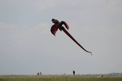 A large red dragon-shaped kite soaring in the sky above a grassy field, with people in the distance.