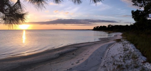 A serene beach at sunset, with gentle waves, sandy shore, and trees framing the peaceful scene.