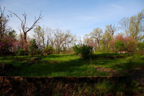 A serene landscape featuring overgrown grass, scattered trees, and remnants of stone structures under a clear blue sky.