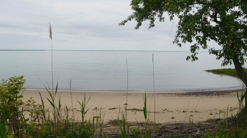 A tranquil beach scene with calm water, sandy shore, and greenery framing the view under a cloudy sky.