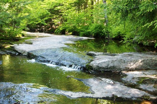 A serene stream flows over smooth rocks, surrounded by lush green trees and vibrant foliage.