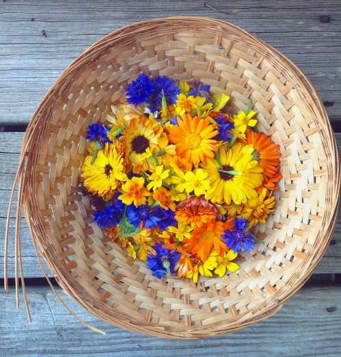 A woven basket filled with vibrant orange, yellow, and blue flowers resting on a wooden surface.