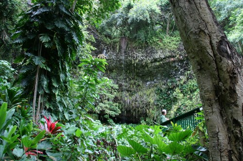 Lush green foliage surrounds a rocky cave entrance, with a person standing nearby, immersed in nature.
