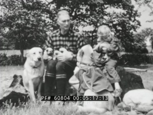 A man sits on a log with a child and several dogs in a grassy area, surrounded by trees.