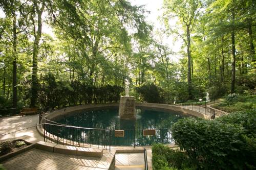 A serene circular pond surrounded by lush greenery and trees, featuring a central fountain and stone pathway.