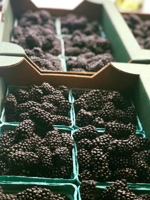 Close-up of fresh blackberries in green containers, arranged neatly in a market display.