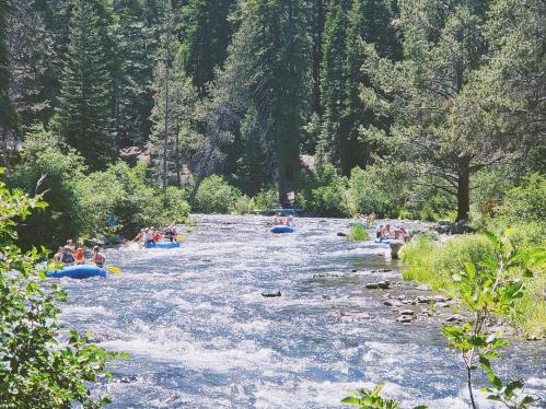 People floating on inflatable rafts down a river, surrounded by lush green trees and a clear blue sky.