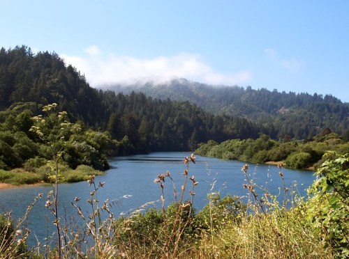 A serene lake surrounded by lush greenery and misty mountains under a clear blue sky.