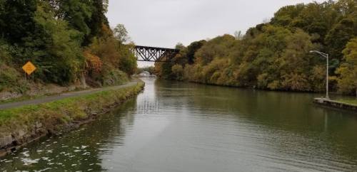 A calm river surrounded by trees, with a bridge in the background and a path along the water's edge.