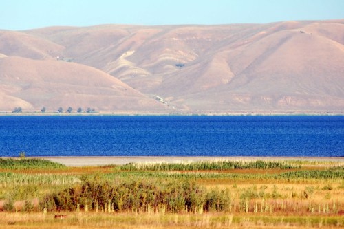 A serene landscape featuring a blue lake bordered by green vegetation and rolling brown hills in the background.