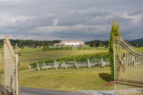A scenic vineyard with a grand building in the background, framed by ornate gates and lush green fields.