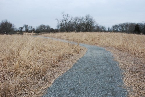 A winding gravel path through tall, dry grass under a cloudy sky, leading into a sparse tree line.