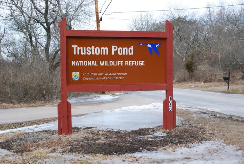 Sign for Trustom Pond National Wildlife Refuge, featuring a blue bird graphic and surrounded by bare trees.