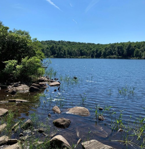 A serene lake surrounded by greenery and rocks under a clear blue sky.