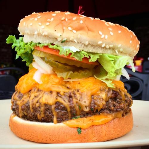 A large cheeseburger with melted cheddar, lettuce, tomato, pickles, and onions, served on a sesame seed bun.