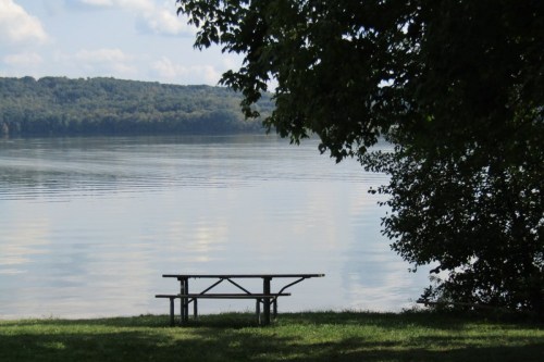 A peaceful lakeside scene featuring a picnic table under a tree, with calm water and distant hills in the background.