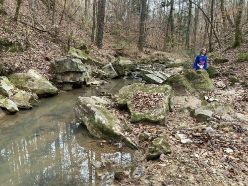 A child sits by a rocky creek surrounded by trees and fallen leaves in a wooded area.