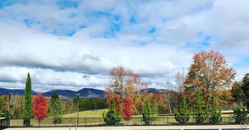 A scenic view of colorful autumn trees against a backdrop of mountains and a partly cloudy sky.