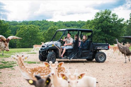 A group in an off-road vehicle surrounded by deer and other wildlife in a lush, green landscape.