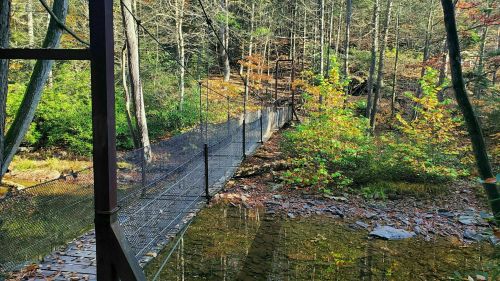 A suspension bridge over a calm stream, surrounded by trees with autumn foliage.