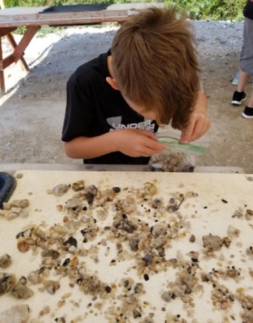 A child examines small rocks and minerals on a table, with a bag for collecting samples nearby.