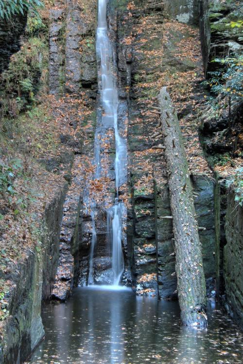 A serene waterfall cascades down rocky cliffs, surrounded by autumn leaves and a calm pool below.