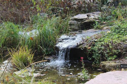 A serene scene featuring a small waterfall cascading over rocks into a pond, surrounded by lush greenery and wildflowers.