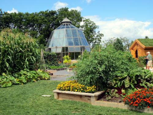 A greenhouse surrounded by vibrant vegetable gardens and colorful flowers under a blue sky with scattered clouds.