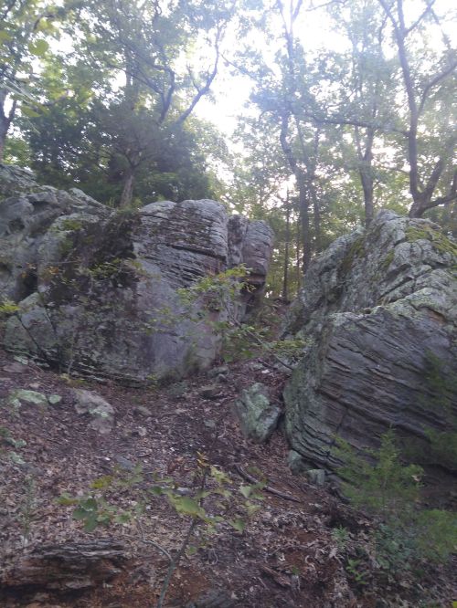 Rocky terrain surrounded by trees, with large boulders and greenery in a natural setting.