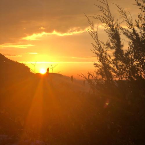 A vibrant sunset over a mountainous landscape, with rays of sunlight filtering through the trees.