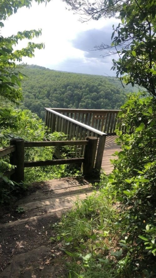 A wooden overlook surrounded by lush greenery, offering a view of rolling hills under a cloudy sky.