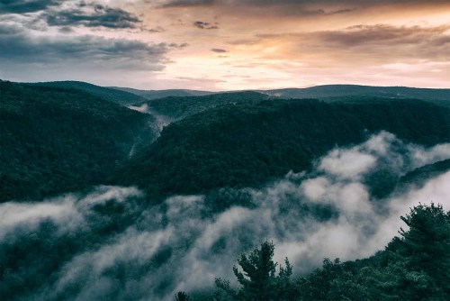 A misty valley at sunset, with rolling hills and dense forests under a cloudy sky.