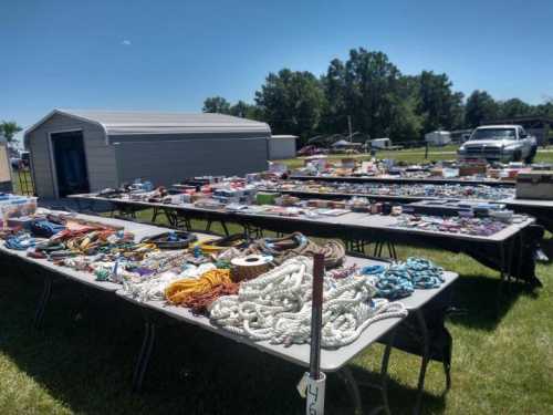 A sunny outdoor market with tables displaying various items, including ropes and assorted goods, in a grassy area.