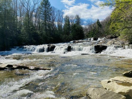 A serene waterfall cascades over rocks, surrounded by trees under a bright blue sky with fluffy clouds.