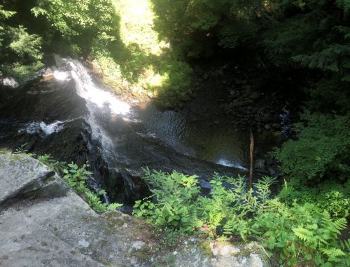 A serene waterfall cascading into a rocky stream, surrounded by lush green foliage and sunlight filtering through trees.