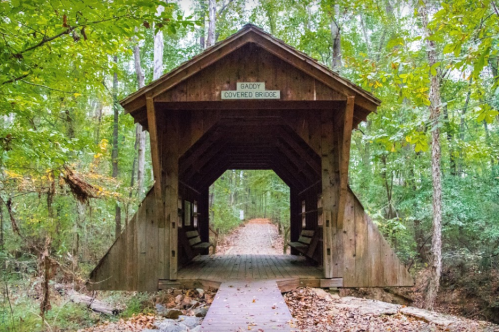 A wooden covered bridge surrounded by lush green trees, leading to a peaceful forest path.