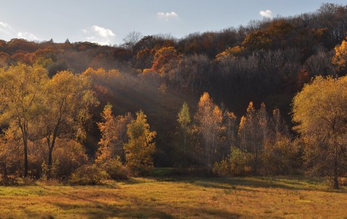 A vibrant autumn landscape with colorful trees and a sunny sky, showcasing golden and orange foliage.