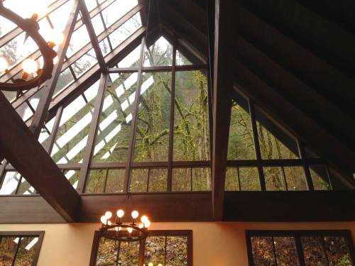 Interior view of a modern cabin with large windows showcasing a forested landscape outside.