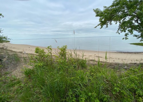 A serene beach scene with calm water, sandy shore, and lush green vegetation in the foreground under a cloudy sky.