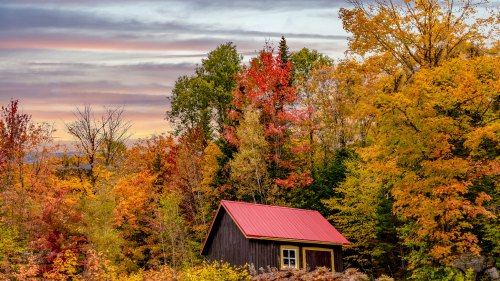 A small black cabin with a red roof surrounded by vibrant autumn trees in shades of orange, yellow, and green.