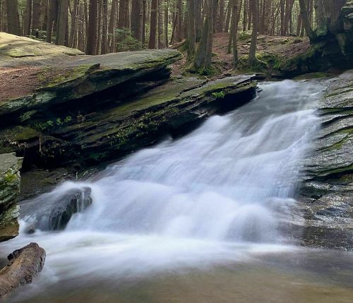A serene waterfall cascades over rocky ledges, surrounded by lush green trees in a tranquil forest setting.