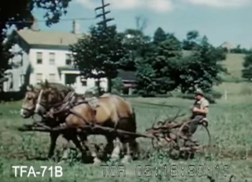 A farmer plows a field with a horse-drawn plow, with a house and trees in the background on a sunny day.
